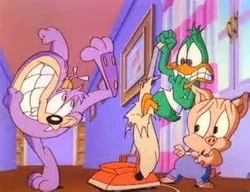 Dizzy Devil/Gallery | Tiny Toon Adventures Wiki | Fandom