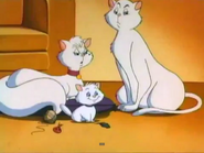 The White Cat Family