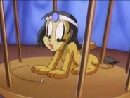 Gogo cuts a hole in the floor of Sphinxy's cage