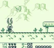 Buster in the Western Stage