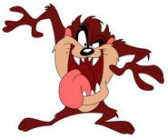 Tasmanian Devil