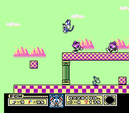 Private Eye in the Tiny Toon Adventures NES game
