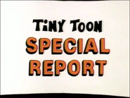 Tiny Toon Special Report