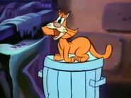 Orange Cat