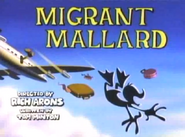 Title Card for Migrant Mallard