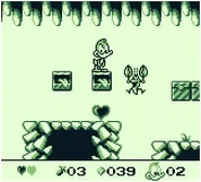 Plucky goes underground