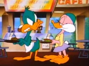 Babs imitating Plucky