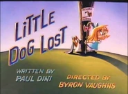 The Title card