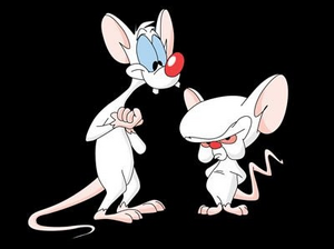 Pinky&theBrain