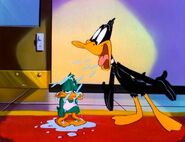 Plucky gets spat on by his mentor, Daffy