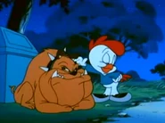 "What? This gentle canine? He wouldn't hurt a fly!"