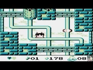 Plucky travels through the pipes