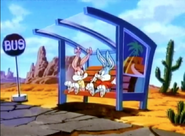 Buster and Babs at a bus stop in the desert