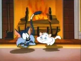 The Kitten