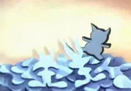 "There. That eliminates every other possible choice."