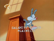 The Plaintiff: Calamity Coyote