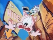 Hamton takes the fall