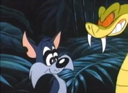 Furrball hypnotized by a snake