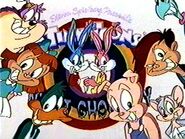 "It's Tiny Toon Adventures, and that's all we've got!