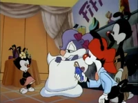 Fifi-SurveyLadiesCameo