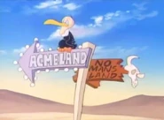 Beaky Buzzard at the signs pointing to AcmeLand and No Man's Land