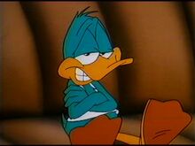 Plucky5.jpg