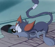 Furrball looks through the mousehole