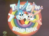 Tiny Toon Spring Break