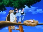 Byron catches Furrball trying to eat some baby birds