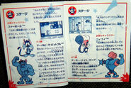 An insert from the japanese manual