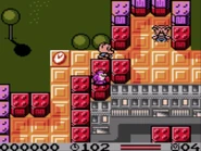 Hamton clones in the city