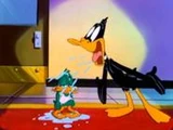 Daffy and Plucky's Relationship