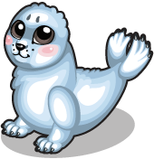 Arctic Seal | Tiny Zoo Wiki | Fandom