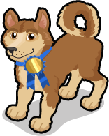 Akita