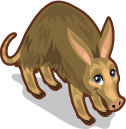 Aardvark