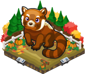 Pumpkin Patch Red Panda