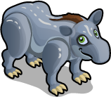 Baird's Tapir