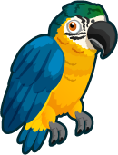 Parrot