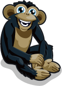 Chimpanzee