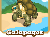 Galapagos Expedition
