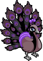 Black Peacock