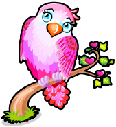 Pink Lovebird