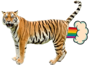 Giant Realistic Flying Tiger.png