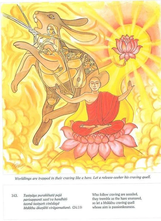 Dp-pics page432 image343c