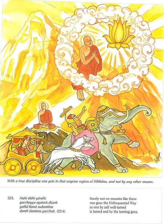 Dp-pics page432 image323c