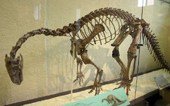 Esqueleto de plateosaurus