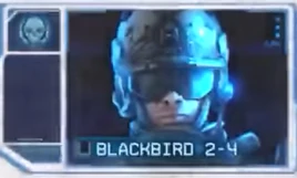 Blackbird 2-4