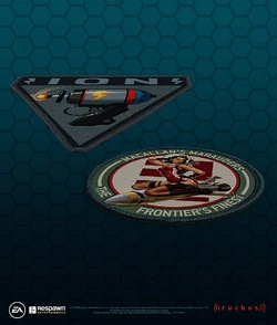 The MacAllan's Marauders patch, featured in collector editions of .