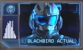 Blackbird Actual