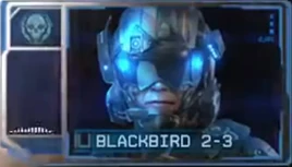 Blackbird 2-3